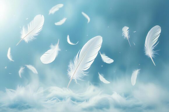 A White Feathers Floating in the Air