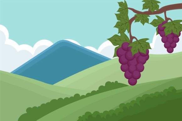 Field of Vineyard Landscaped Vector: A Versatile Design for Creative and Business Projects