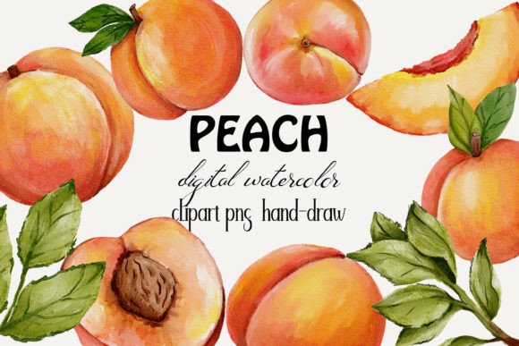 Peaches Watercolor Clipart Png Hand Draw: A Versatile Design Resource